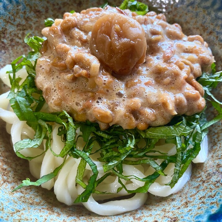 納豆、梅肉、大葉の冷やしうどん